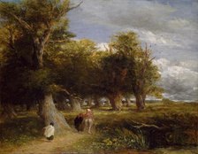The Skirts of the Forest, 1856. Creator: David Cox the elder.