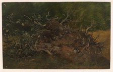 Study of a Tree Stump, 1843-1847. Creator: Wilhelm Peter Carl Petersen.