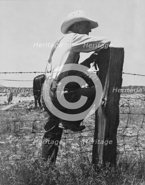 Indiana farmer, 1936. Creator: Dorothea Lange.