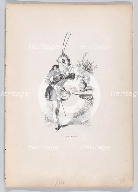 An Old Butterfly from Scenes from the Private and Public Life of Animals, ca. 1837-47. Creator: Jean Ignace Isidore Gerard.