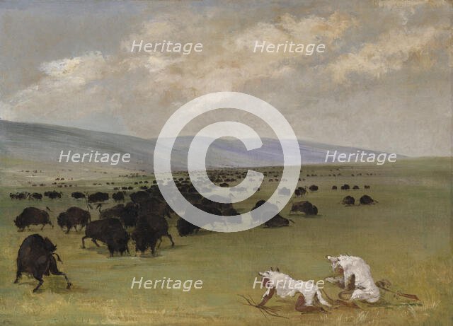 Catlin and His Indian Guide Approaching Buffalo under White Wolf Skins, 1846-1848. Creator: George Catlin.