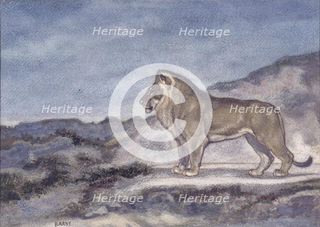 Standing Lion, c1850s-1860s. Creator: Antoine-Louis Barye.