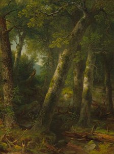 Forest in the Morning Light, c. 1855. Creator: Asher Brown Durand.