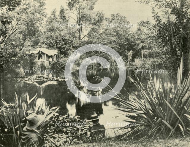 'Mr. Ryan's Gardens, Mount Macedon, Victoria', 1901. Creator: Unknown.