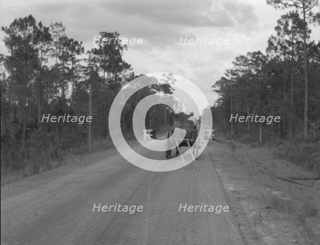 Wagon hauling turpentine out of the woods, Georgia, 1937. Creator: Dorothea Lange.