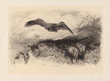 Aigle au vol. Creator: Karl Bodmer.