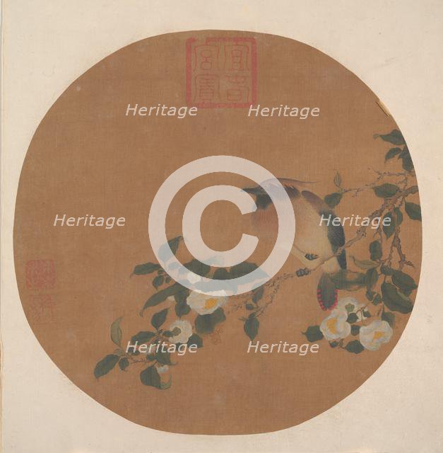 Branch of Tree with Flowers and Bird of Waxwing Family. Creator: Unknown.