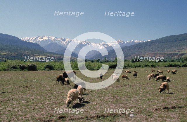 High Atlas, Morocco. 
