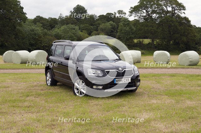 2014 Skoda Yeti SE Artist: Unknown.