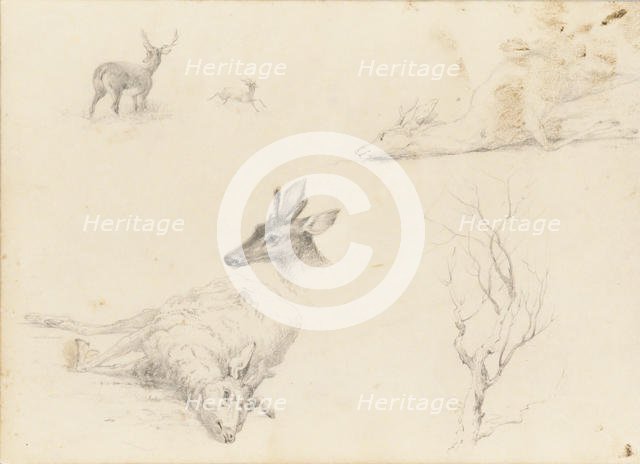 Sketchbook of Landscape and Animal Subjects, 1860-64. Creator: Thomas Hewes Hinckley.