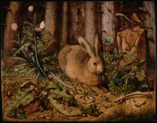 A Hare in the Forest, ca 1585. Artist: Hoffmann, Hans (1530-1592)