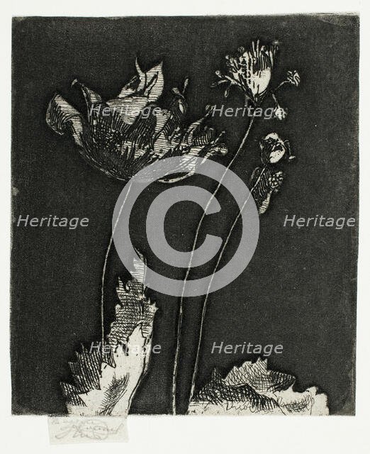 Last Poppies, 1897. Creator: Theodore Roussel.