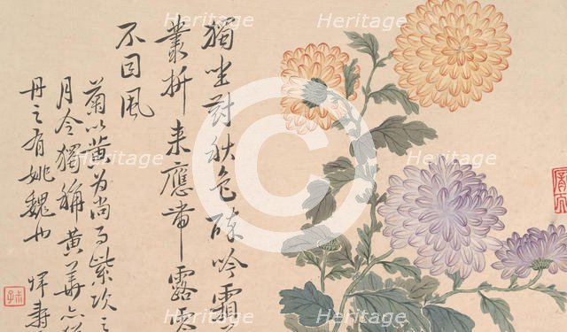 Chrysanthemums. Creator: Unknown.