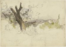 View of Florence from Monte Oliveto, 1830. Creator: Johann Nepomuk Rauch.