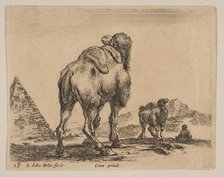 Plate 18: camel viewed from behind with pyramid at left, from 'Various animals' (Diver..., ca. 1641. Creator: Stefano della Bella.