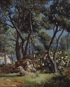 Olive grove, 1885. Creator: Aukusti Uotila.