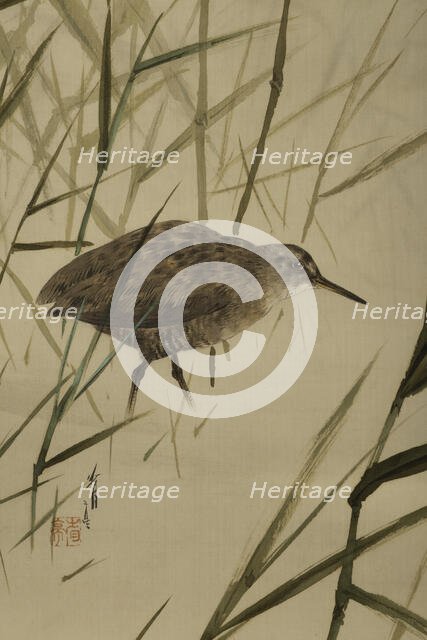 The Twelve Months: Sixth Month, between 1900 and 1918. Creator: Watanabe Seitei.