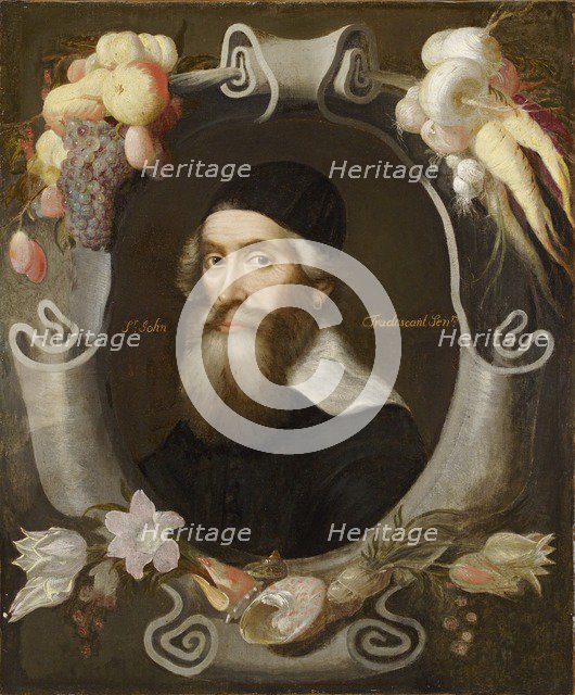 John Tradescant the Elder, 17th century. Artist: Emanuel de Critz.