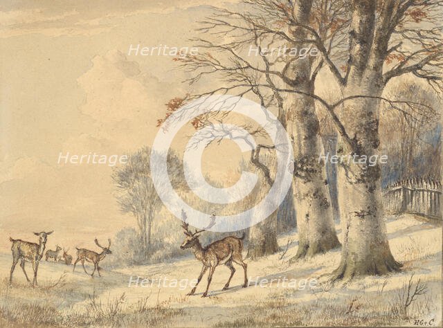 Deer under Beech Trees in Summer, 1853. Creator: Hendrik Gerrit ten Cate.