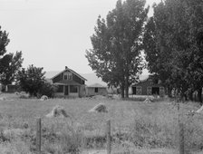 Another view of E. Houston's farm, Washington, Yakima County, west of Toppenish, 1939. Creator: Dorothea Lange.