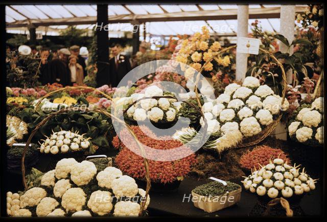 Chelsea Flower Show, London, 1962. Creator: Norman Barnard.