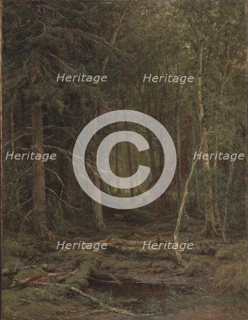 Backwoods. Artist: Shishkin, Ivan Ivanovich (1832-1898)