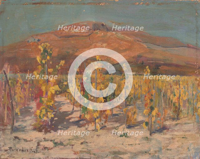 Vineyards at the foot of Mount Zobor, 1930-1940. Creator: Karol Pongrácz.