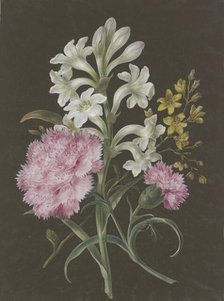 Arrangement of tuberose (Polyanthes), pink carnation (Dianthus), and a yellow flower with a fly.. Creator: Barbara Regina Dietzsch circle.
