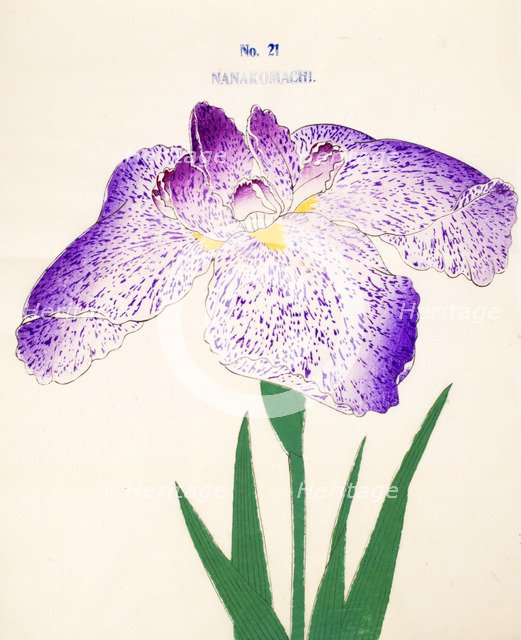 Nanakomachi, No 21, 1890, (colour woodblock print)