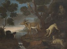 Bengalese Deer Attacked by Pugs, 18th century. Creator: David Kock.