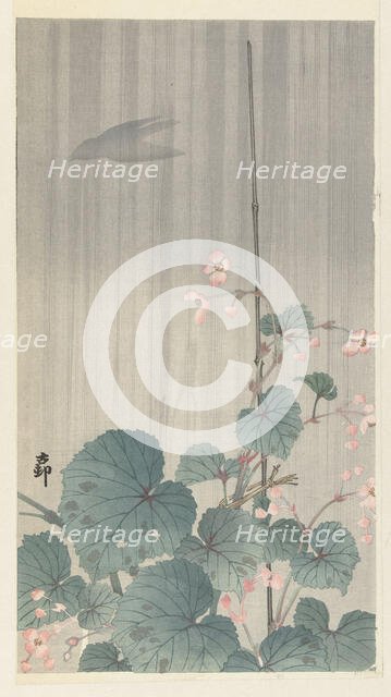 Begonia in the rain, 1930s. Creator: Ohara, Koson (1877-1945).