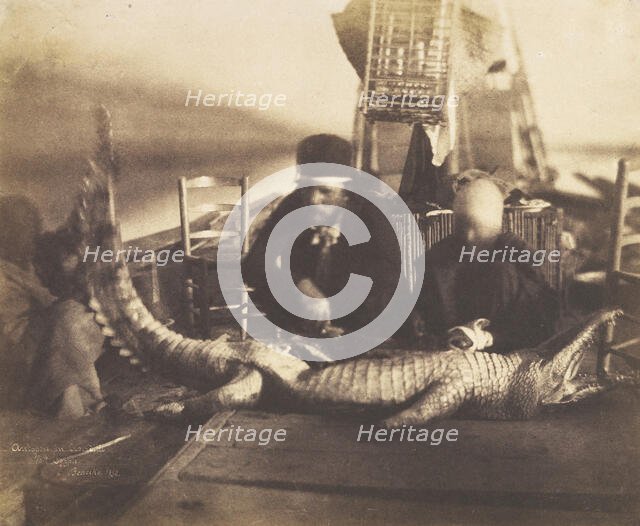 Autopsy of the First Crocodile Onboard, Upper Egypt, 1852. Creator: Ernest Benecke.