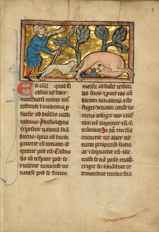 A Hunter and a Beaver; De Natura Avium; De Pastoribus et Ovibus; Bestiarium, 1277 or after. Creator: Unknown.