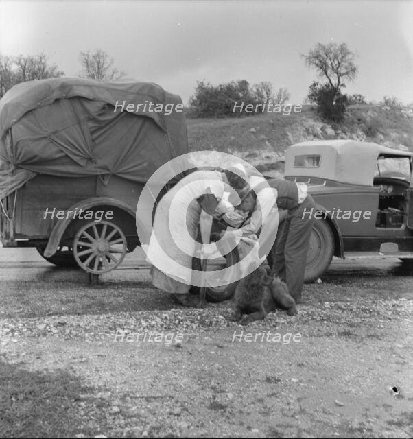 Migrant pea pickers on the road, California, 1936. Creator: Dorothea Lange.