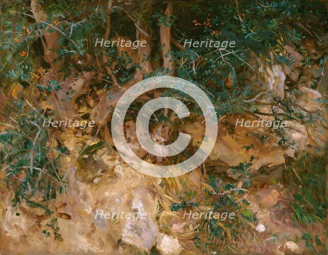 Valdemosa, Majorca: Thistles and Herbage on a Hillside, 1908. Creator: John Singer Sargent.