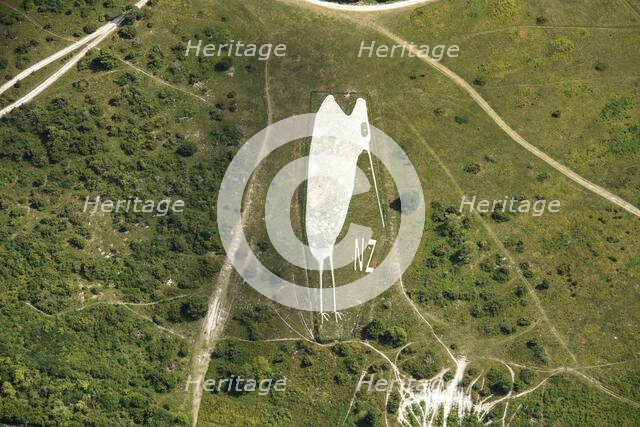 Kiwi Chalk Figure above Bulford Camp, Wiltshire, 2022. Creator: Damian Grady.