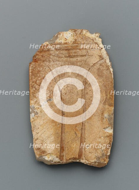 Tongue amulet in the form of a cicada (hanchan), Han dynasty, 206 BCE-220 CE. Creator: Unknown.