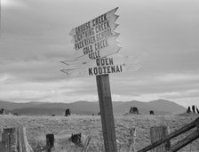Roadside at crossroads, Boundary County, Idaho, 1939. Creator: Dorothea Lange.