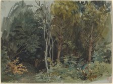 The Edge of a Wood at Nohant, c. 1842/1843. Creator: Eugene Delacroix.