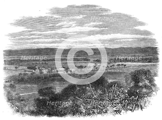 The Hordley Estate, Morant Bay, Jamaica, 1865. Creator: Unknown.