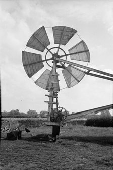 Fan staging on a windmill at Tottenhill in Norfolk, 1936. Artist: HES Simmons