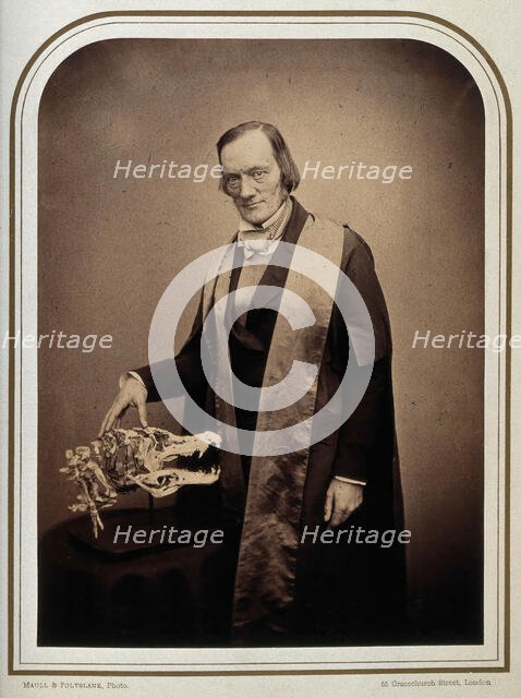 Sir Richard Owen. Creator: Maull & Polyblank.