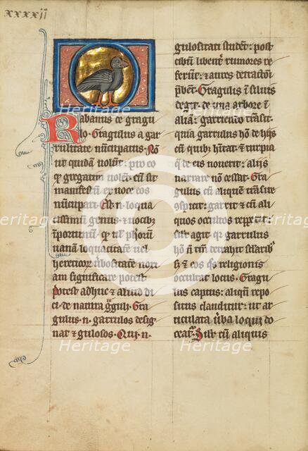A Jackdaw; De Natura Avium; De Pastoribus et Ovibus, 1277 or after. Creator: Unknown.