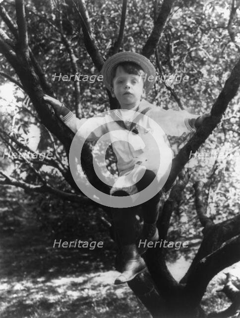 Quentin Roosevelt, c1902 June 17. Creator: Frances Benjamin Johnston.