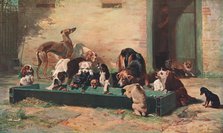 'Table d'Hote at a Dogs' Home', 1880, (c1902).  Creator: Unknown.