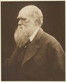 Charles Darwin, c. 1868, printed 1875. Creator: Julia Margaret Cameron.