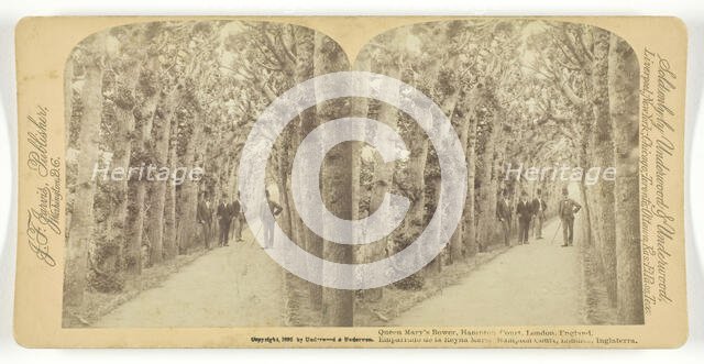 Queen Mary's Bower, Hampton Court, London, England, 1892. Creator: Underwood & Underwood.