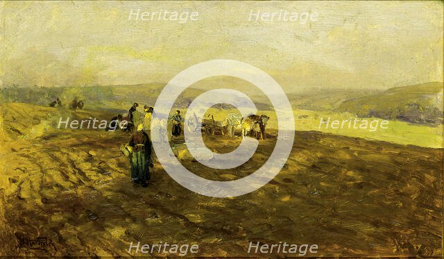 Potato Gleaners, n.d. Creator: Herman Hartwich.