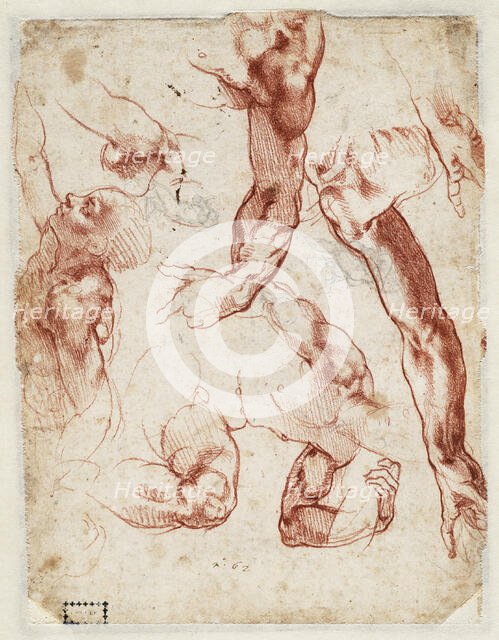 Studies of figures and limbs, 1511. Creator: Buonarroti, Michelangelo (1475-1564).