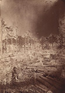 The Wilderness Battlefield, 1864. Creator: Unknown.